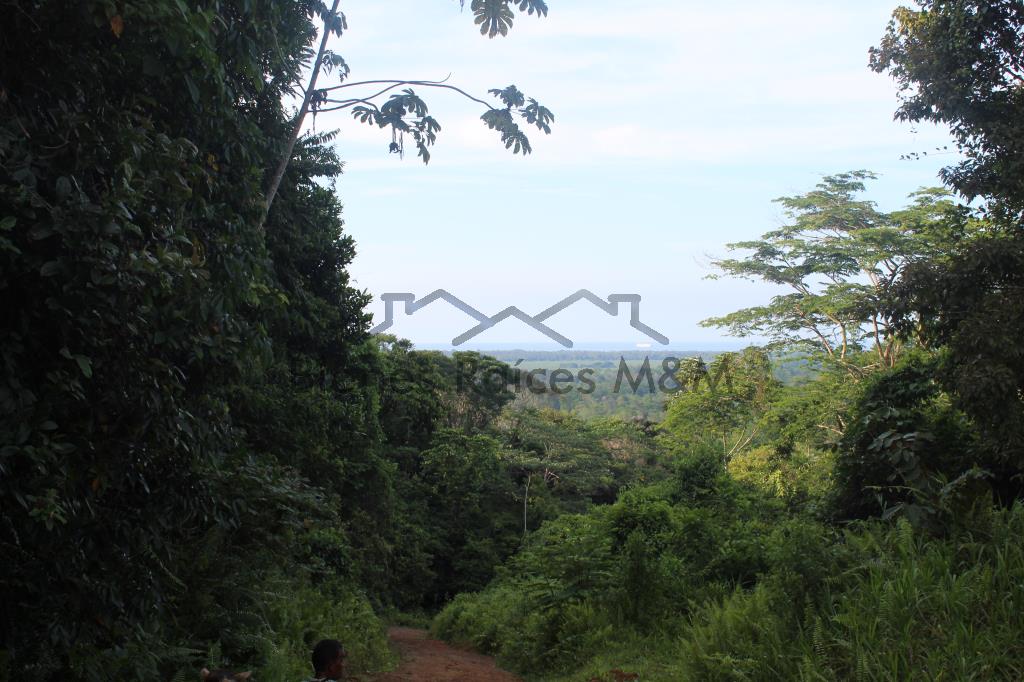 clic para ver detalles